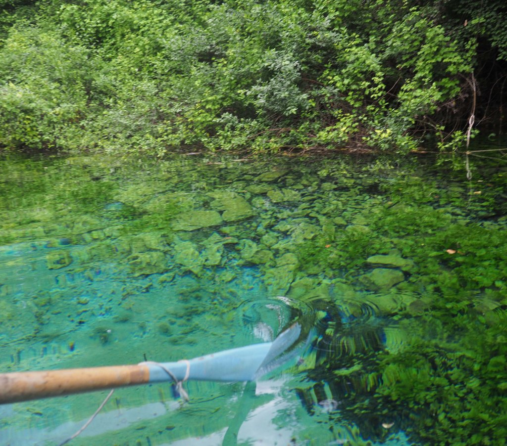St. Naum natural springs (boat tour)